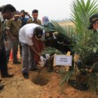 Bupati Sintang Tanam Perdana Kebun PT. Palj Di Tabau