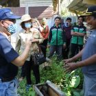 Dampingi Sekda Sintang Kunjungi Peternakan kelulut, Ini Yang Disampaikan Kepala Bappeda Sintang