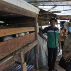 Sekda Sintang Kunjungi Kelompok Tani Cakra Mandiri Dan Melihat Langsung Pengolahan Pupuk Organik Cair