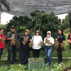 Kunjungi Petani di Desa Pagal Baru,Ini Yang di Sampaikan Sekda Sintang