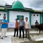 Sambut Iduladha 1446 H, PLN Indonesia Power UBP Sintang Serahkan Hewan Kurban ke Masyarakat