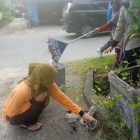 Ribuan Warga Sintang Turun Tangan Bersihkan Sampah Plastik, Peringati Hari Lingkungan Hidup