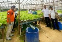 Desa Dak Jaya Wakili Sintang Lomba Desa Tingkat Provinsi 2025
