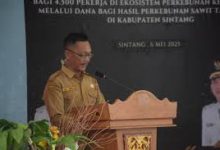 LLK UKM Sintang Buka Pelatihan Kerja Gratis Tahun 2025, Kuota Terbatas