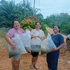 Hikman Sudirman Berdayakan Pembudidaya Ikan Di Desa Nanga Tikan Kayan Hilir